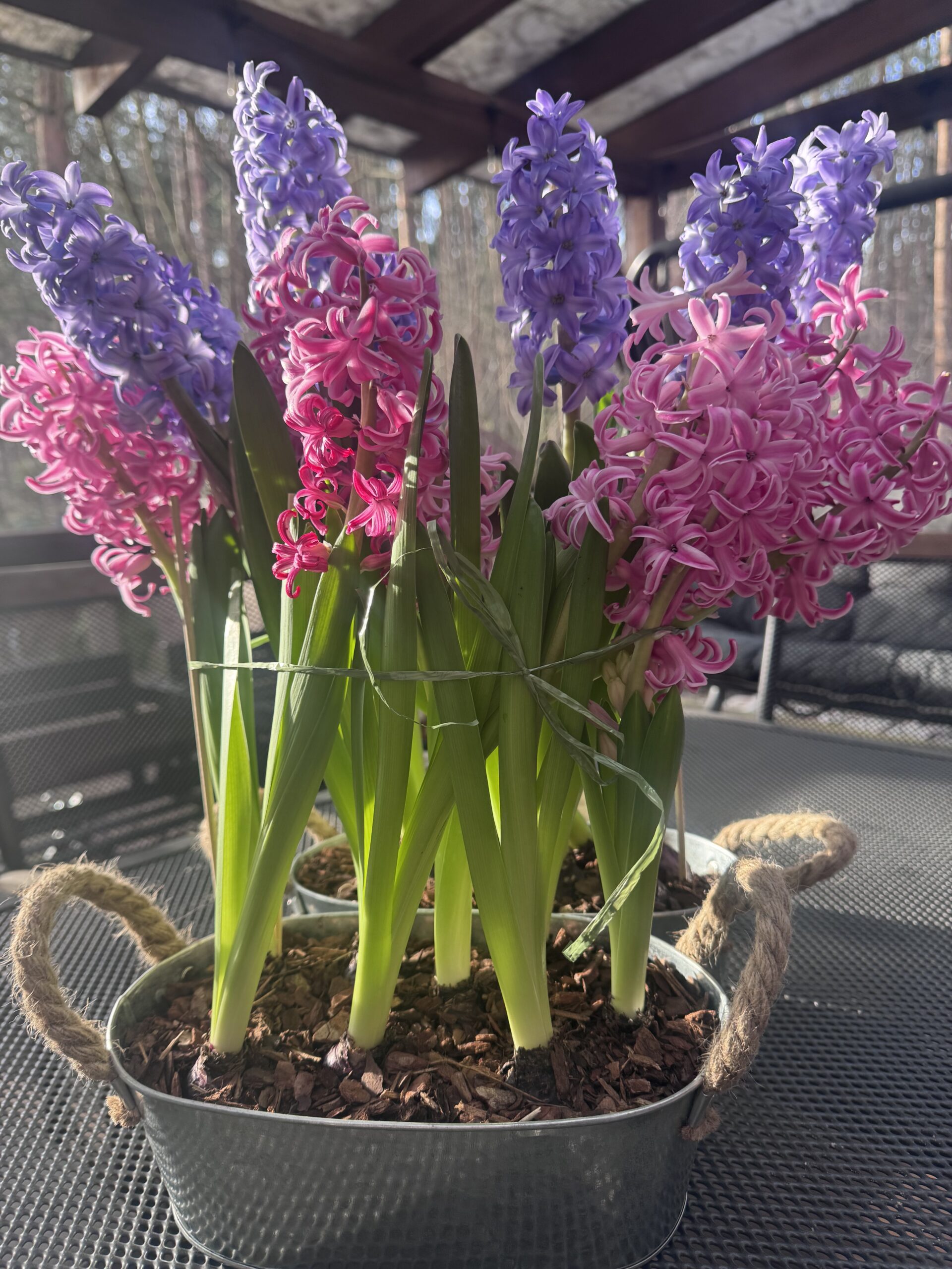 Pięknego Dnia Kobiet Dziewczyny 🌺♥️